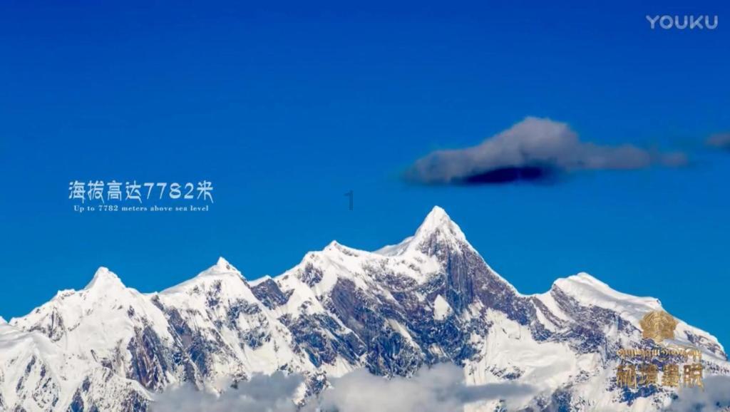 沪江开心词场