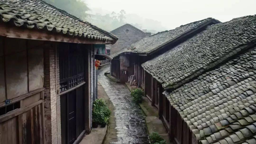 月光影视