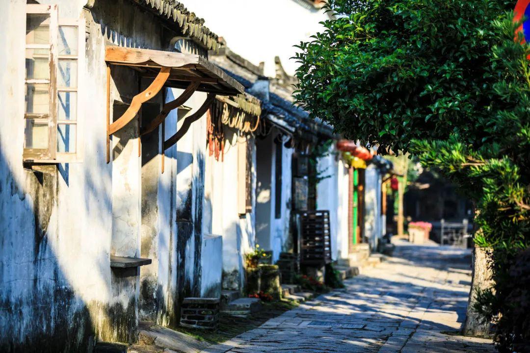 保险法规定保险公司不得拒付满两年以上保单是那_条的规定-专业问答社区,解答你的疑惑